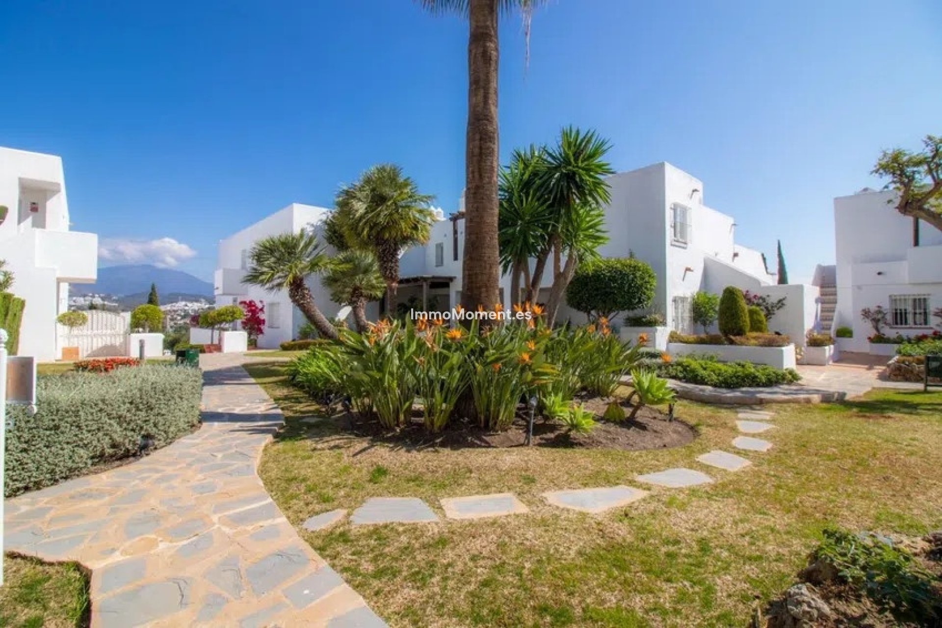 Bestaande woning - Appartement - Marbella - Nueva Andalucía