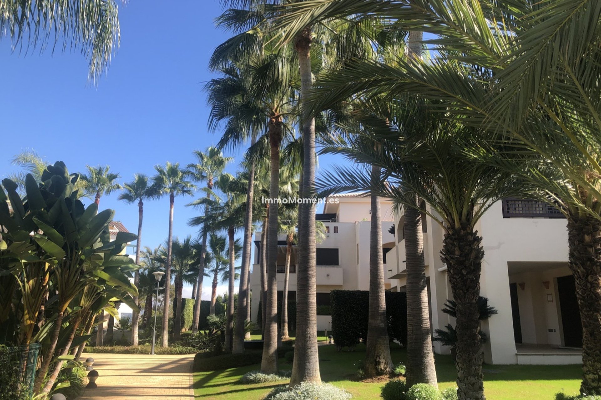 Bestaande woning - Appartement - Marbella - Nueva Andalucía