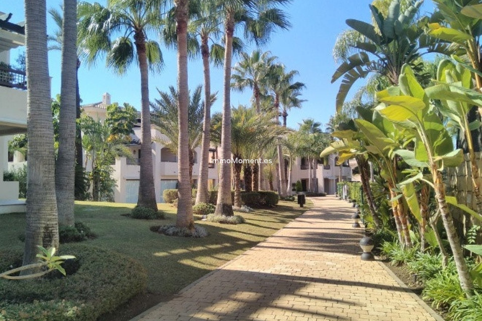Bestaande woning - Appartement - Marbella - Nueva Andalucía