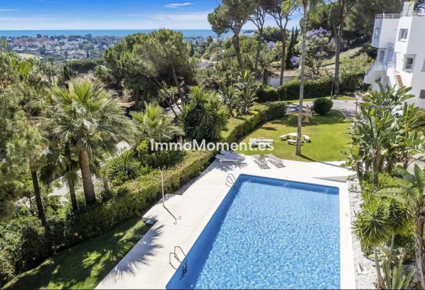 Bestaande woning - Appartement - Marbella - Nueva Andalucía