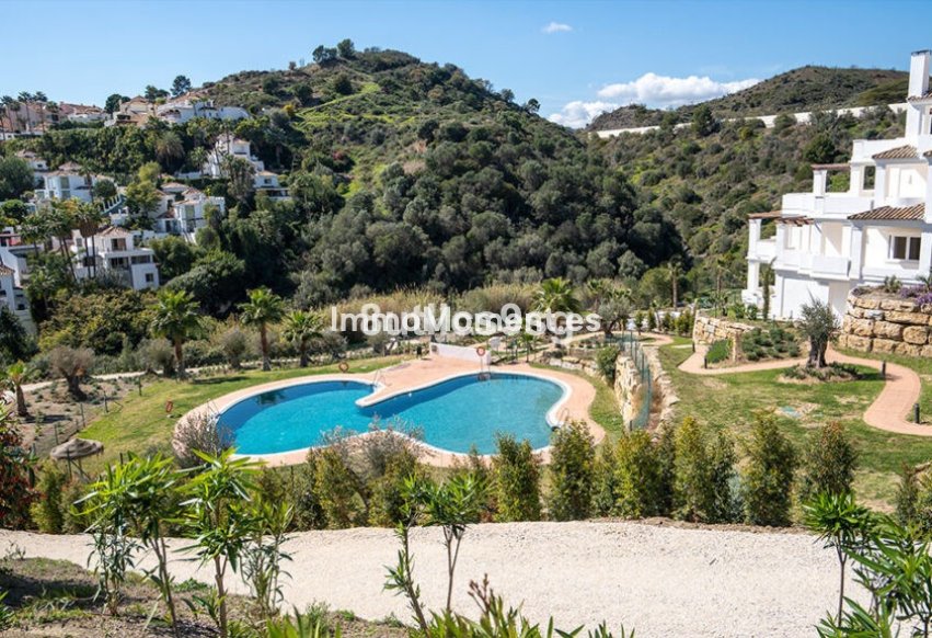 Bestaande woning - Appartement - Marbella - Nueva Andalucía