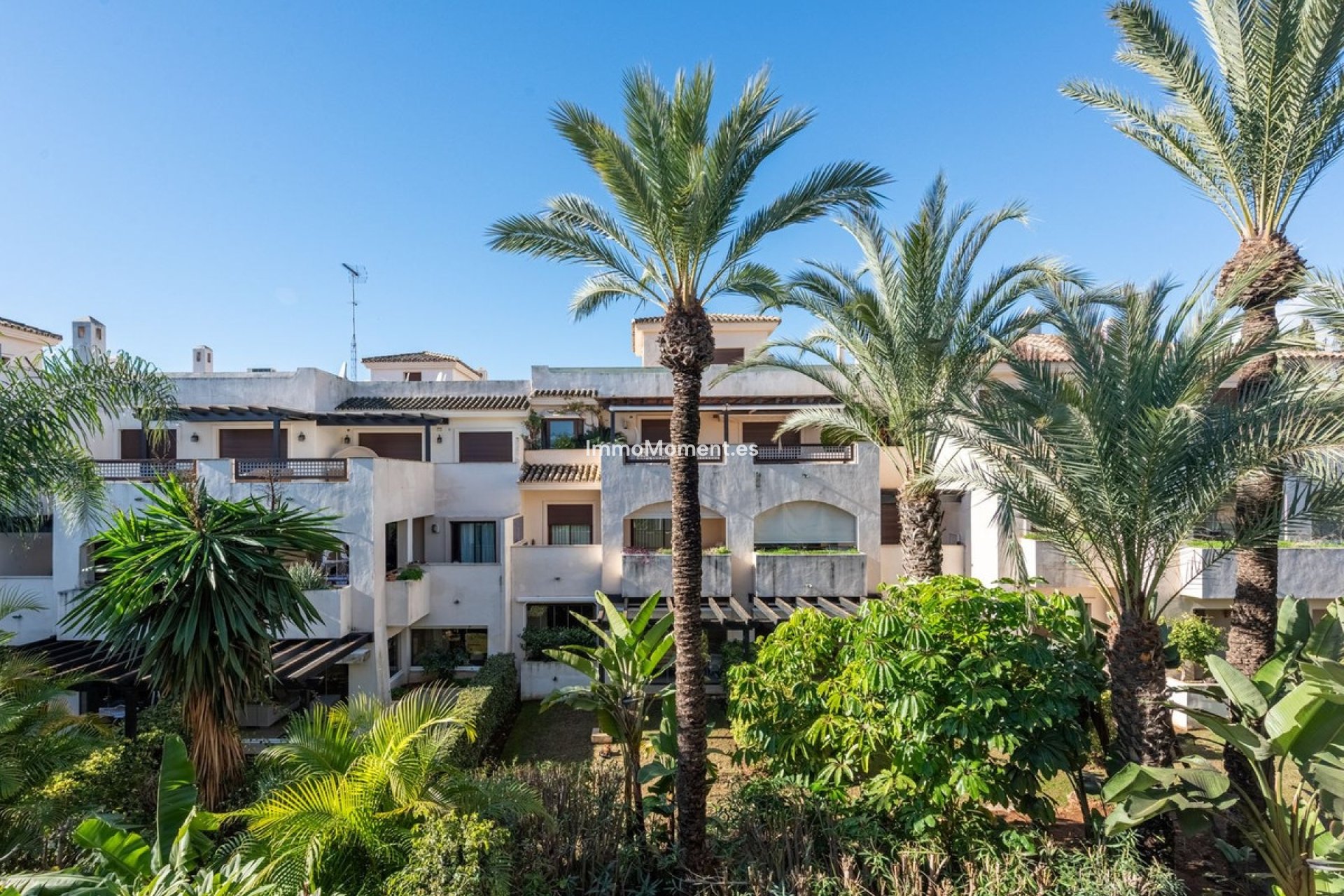 Bestaande woning - Appartement - Marbella - Nueva Andalucía