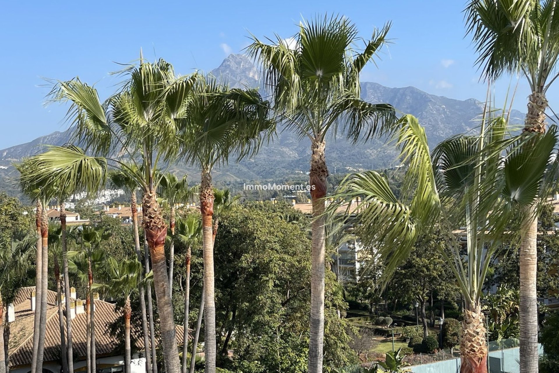 Bestaande woning - Appartement - Marbella - Nueva Andalucía