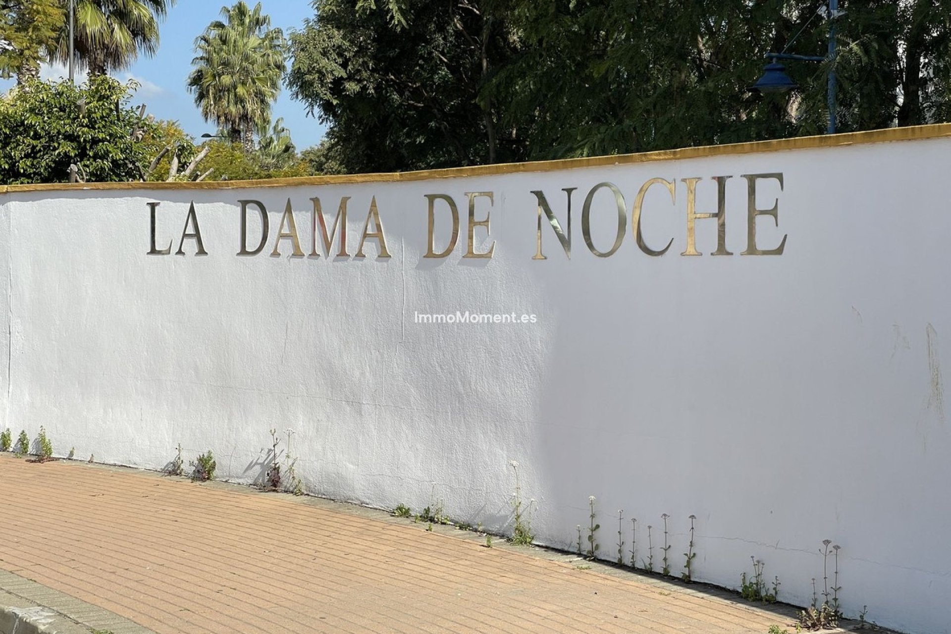 Bestaande woning - Appartement - Marbella - Nueva Andalucía