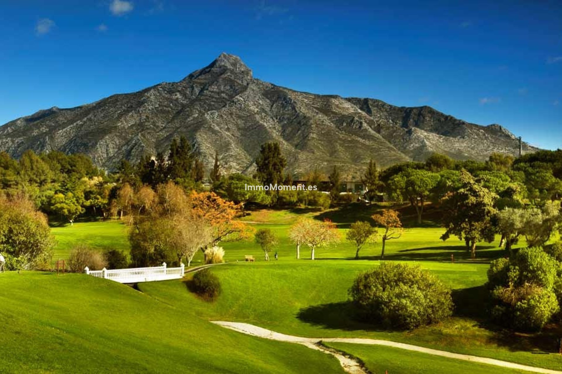 Bestaande woning - Appartement - Marbella - Nueva Andalucía