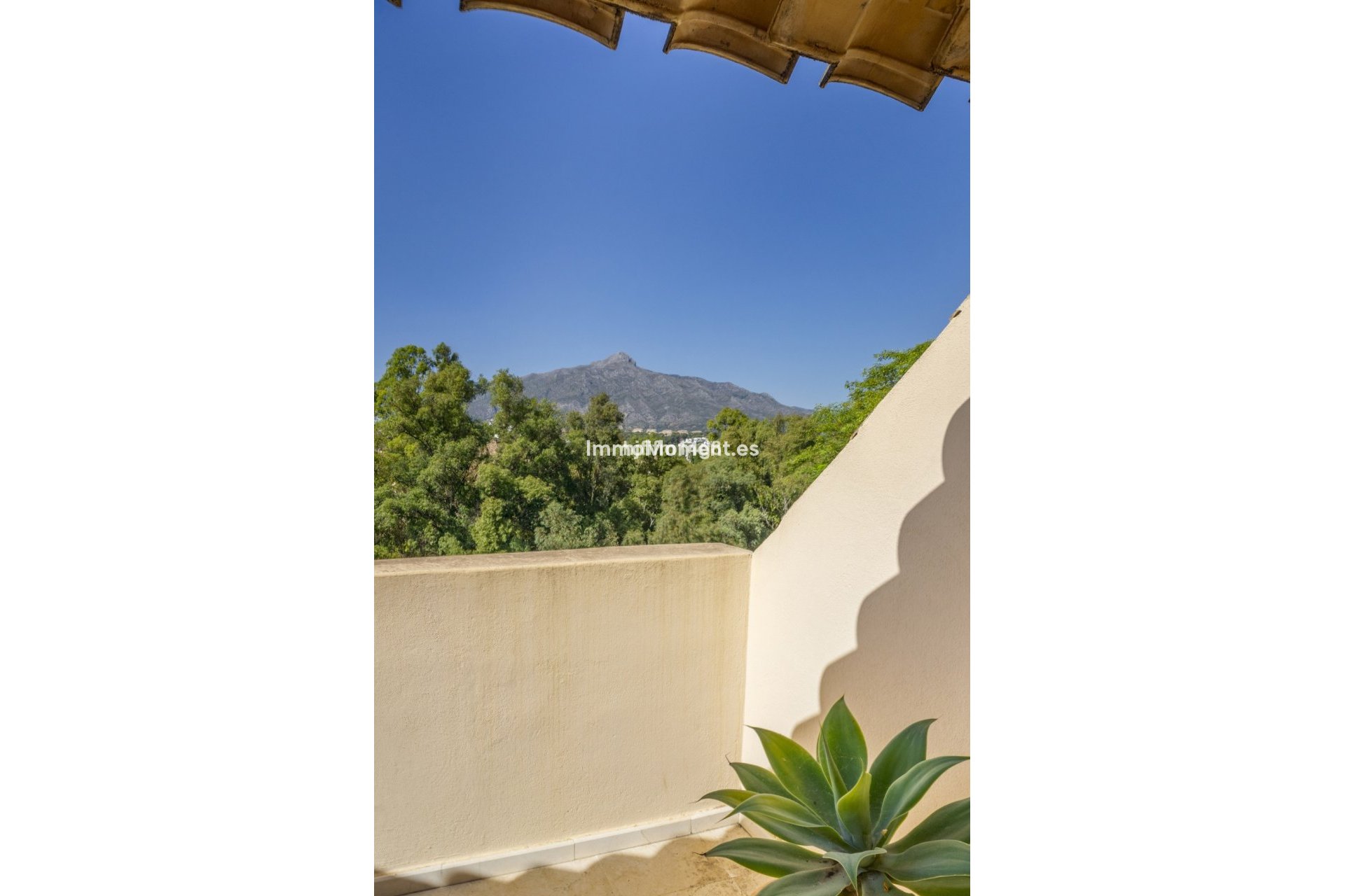 Bestaande woning - Appartement - Marbella - Nueva Andalucía