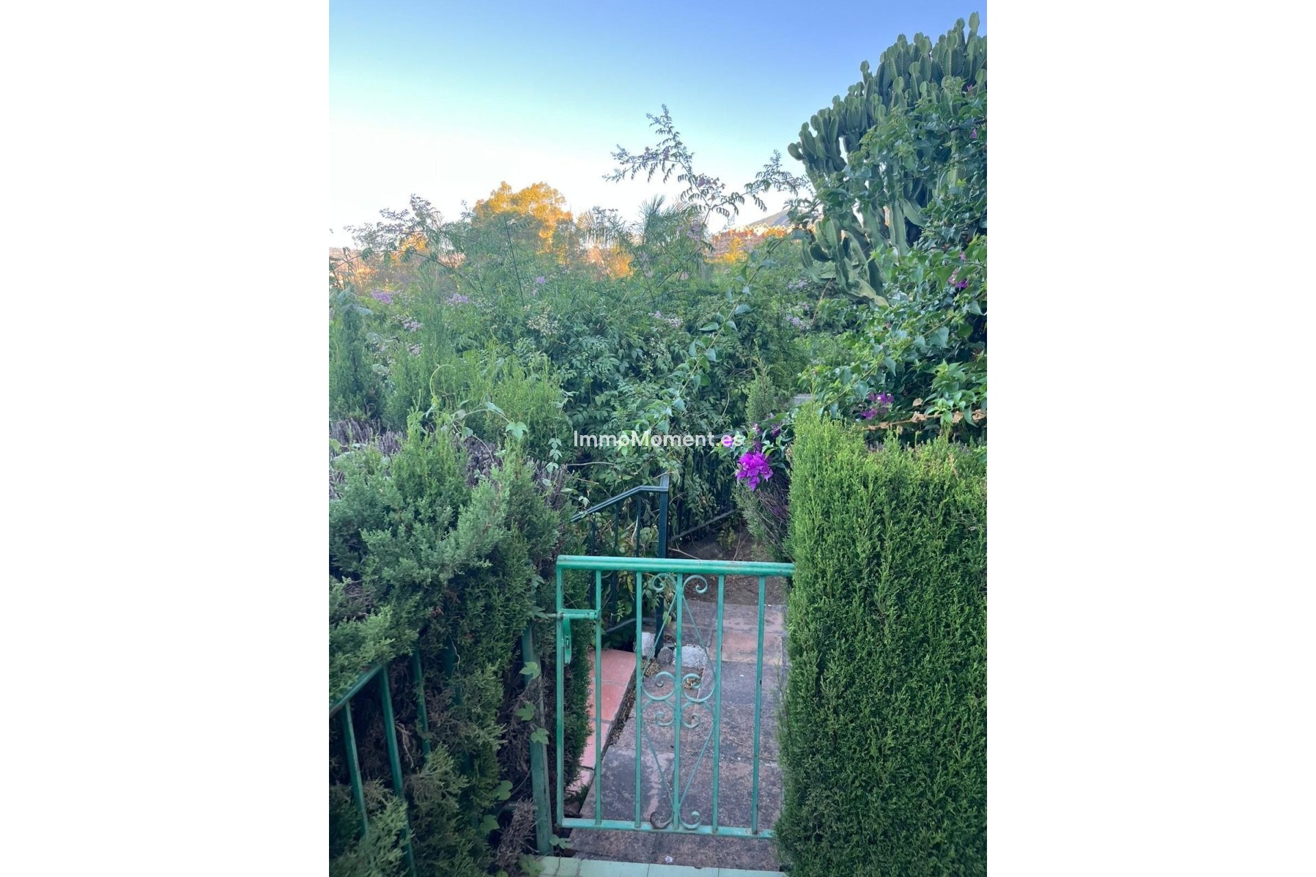 Bestaande woning - Appartement - Marbella - Nueva Andalucía