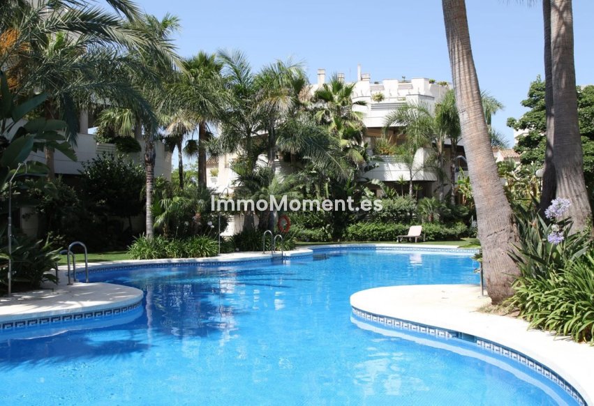 Bestaande woning - Appartement - Marbella - Nueva Andalucía