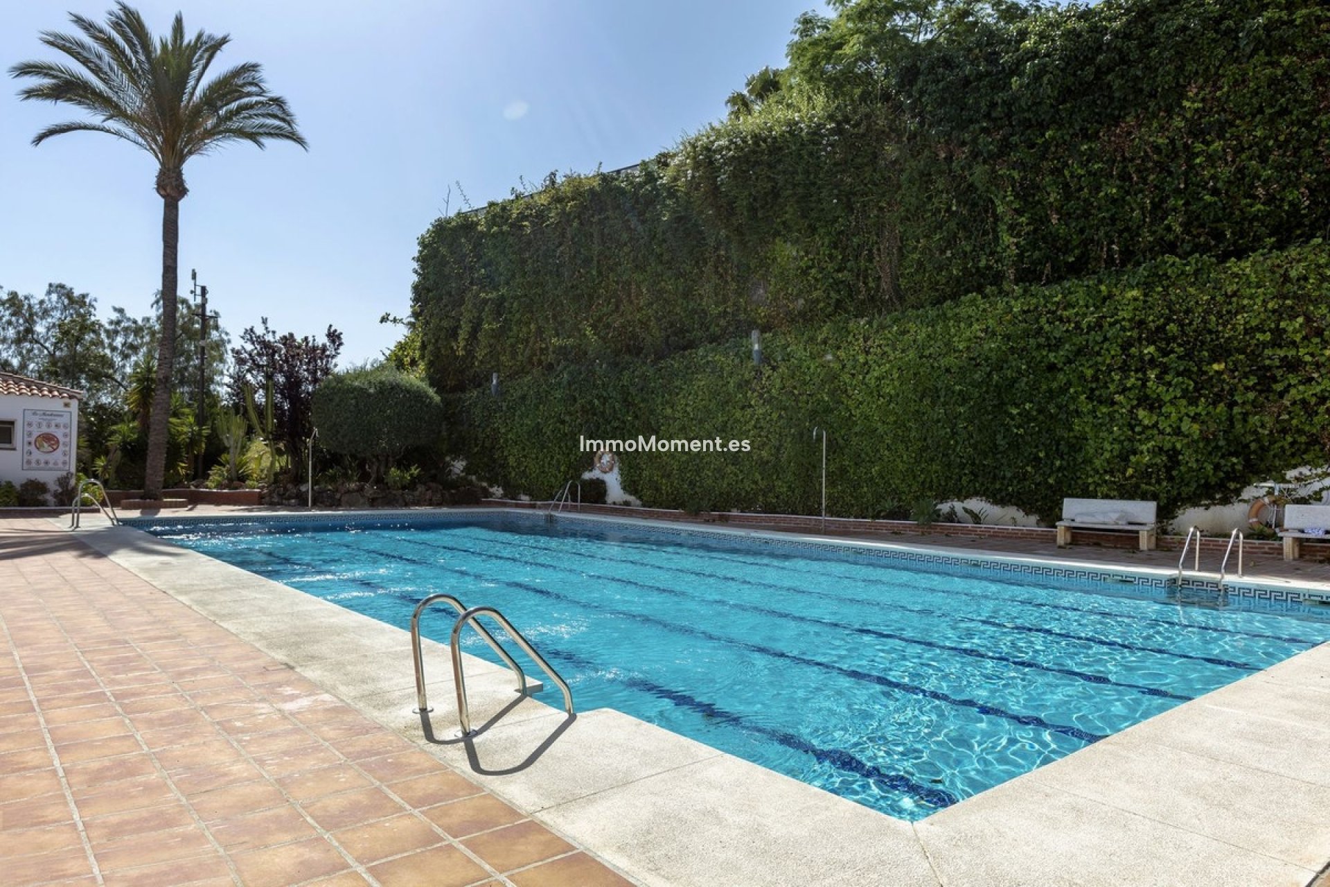 Bestaande woning - Appartement - Marbella - Nueva Andalucía