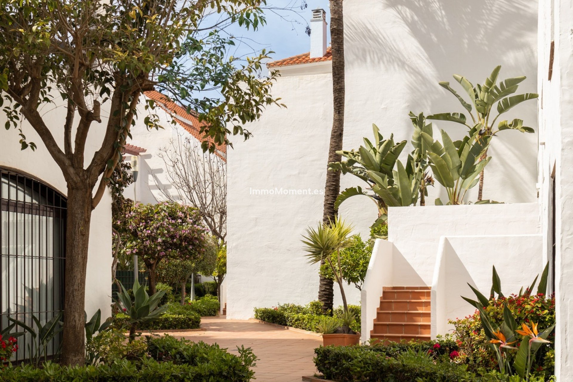 Bestaande woning - Appartement - Marbella - Nueva Andalucía