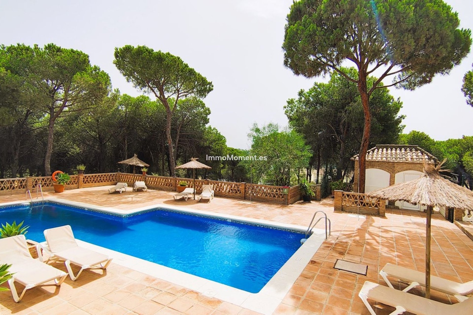 Bestaande woning - Appartement - Marbella - Nueva Andalucía