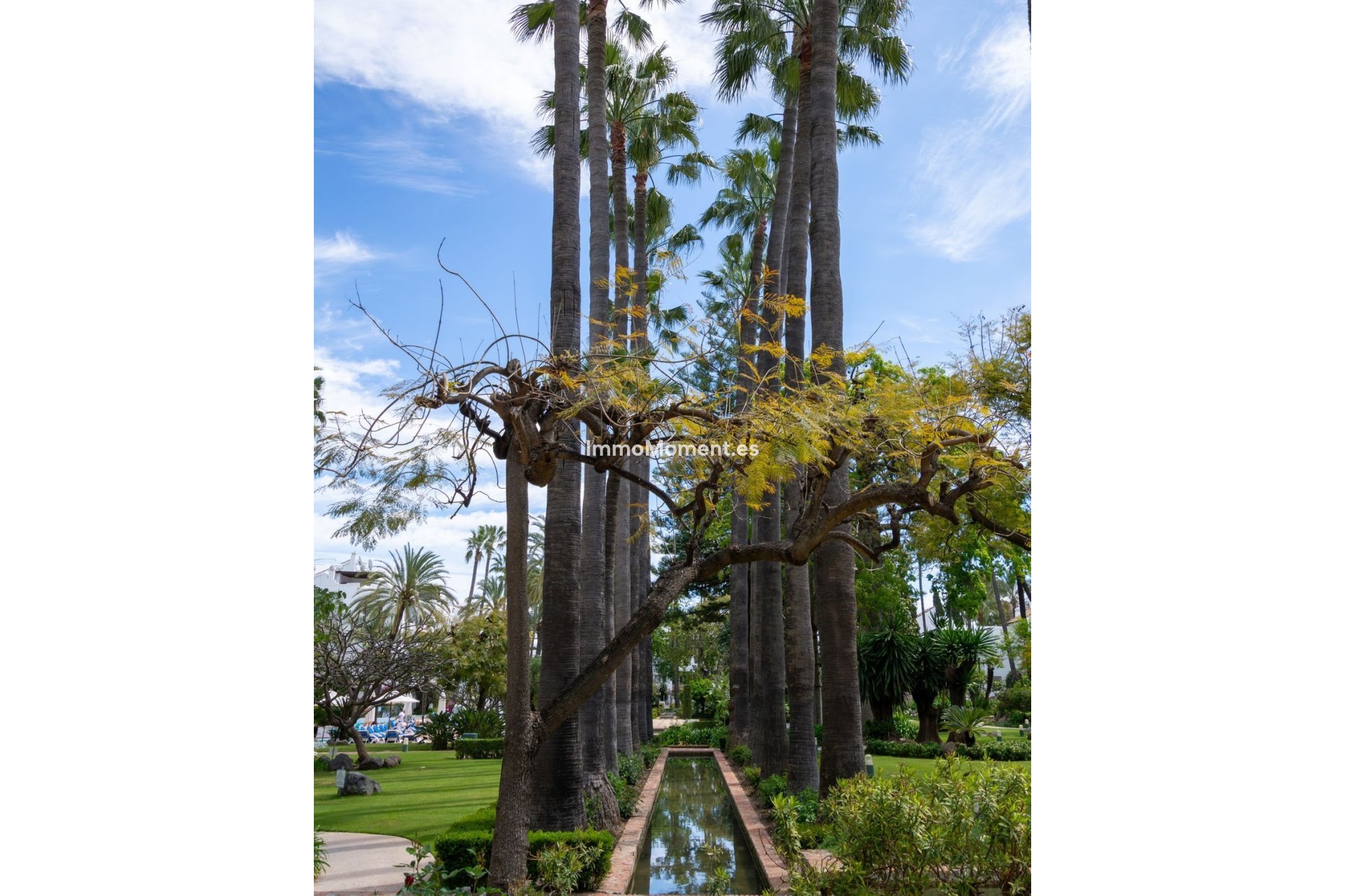 Bestaande woning - Appartement - Marbella - Puerto Banús