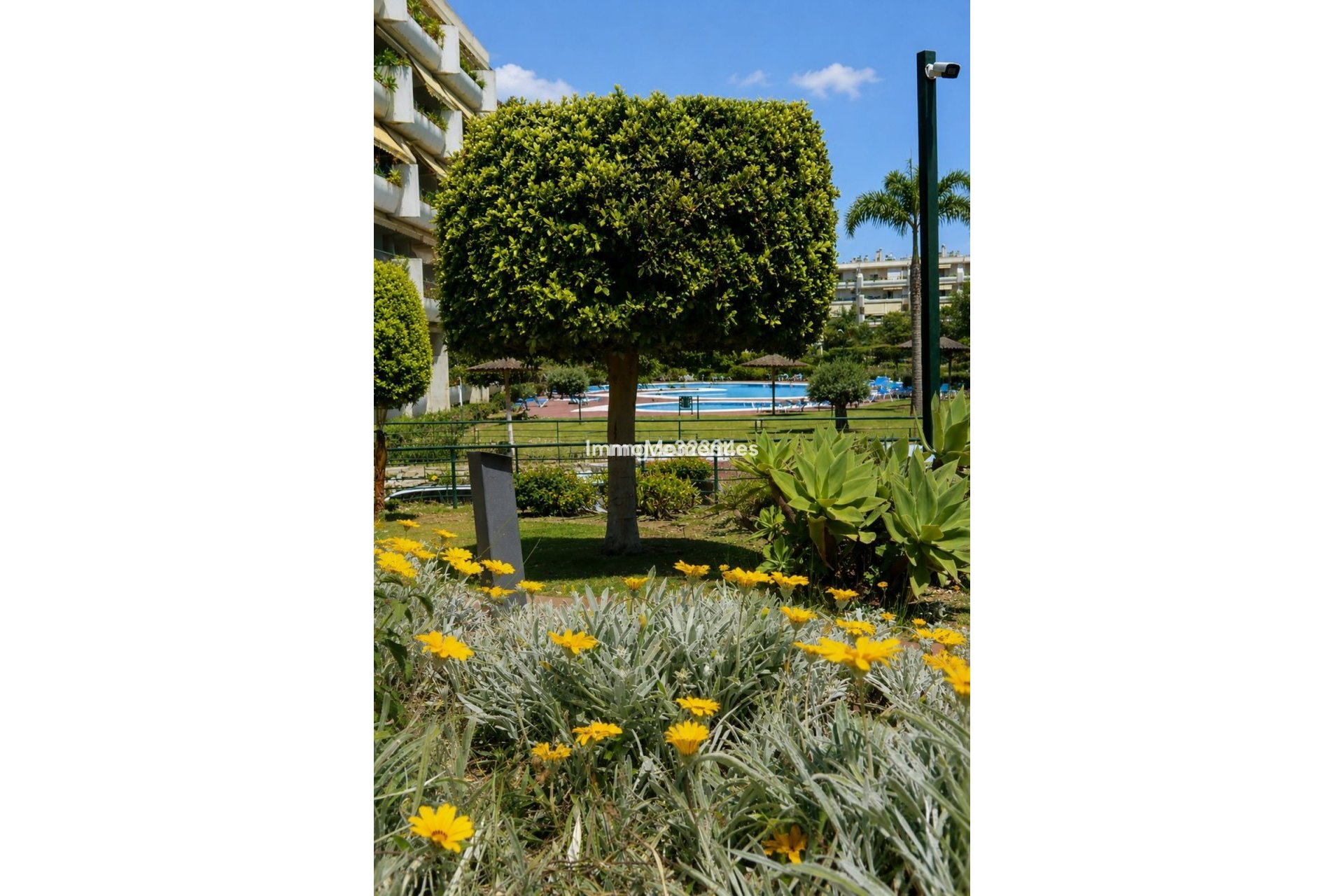 Bestaande woning - Appartement - Marbella - San Pedro de Alcántara
