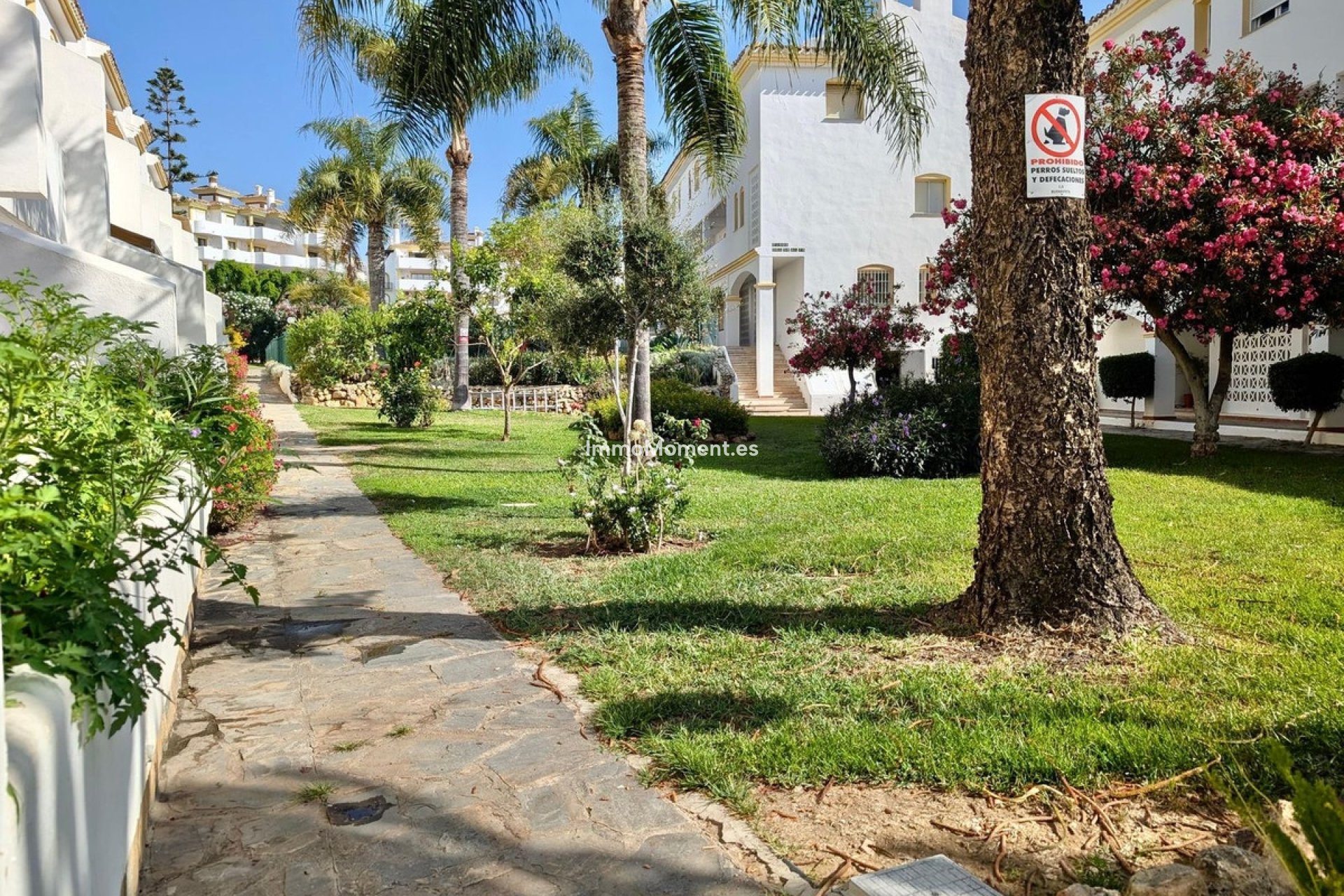 Bestaande woning - Appartement - Mijas Costa - Calahonda