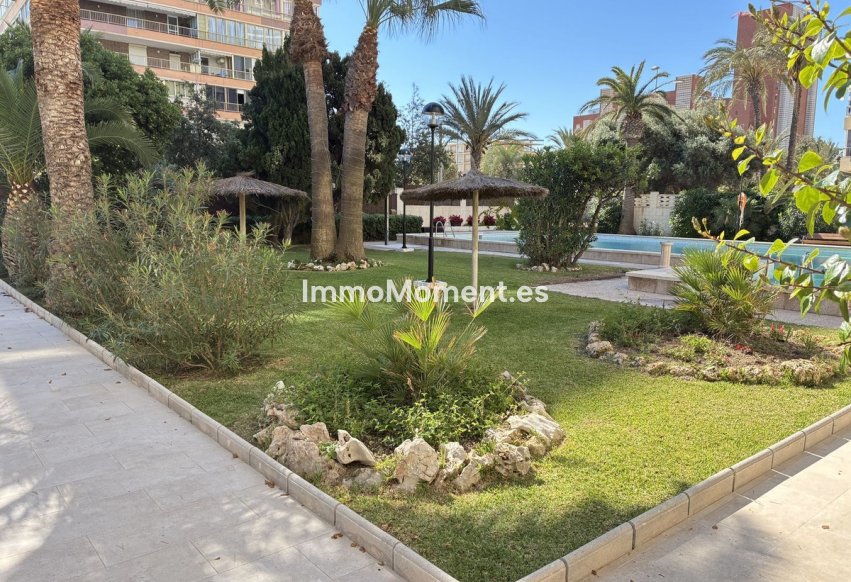 Bestaande woning - Appartement - San Juan de Alicante - Playa de San Juan