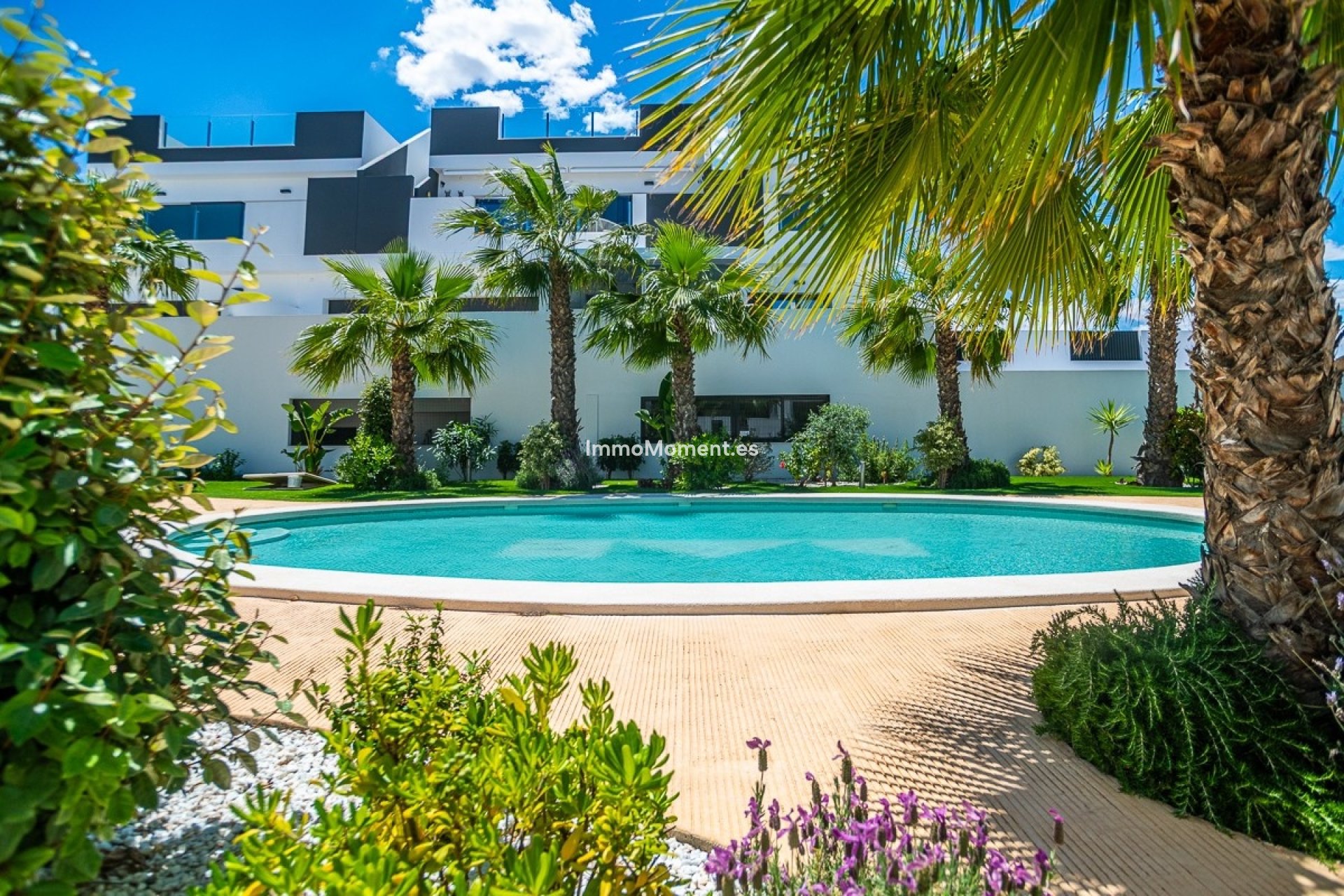 Bestaande woning - Appartement - Torrevieja - Torrevieja Centro