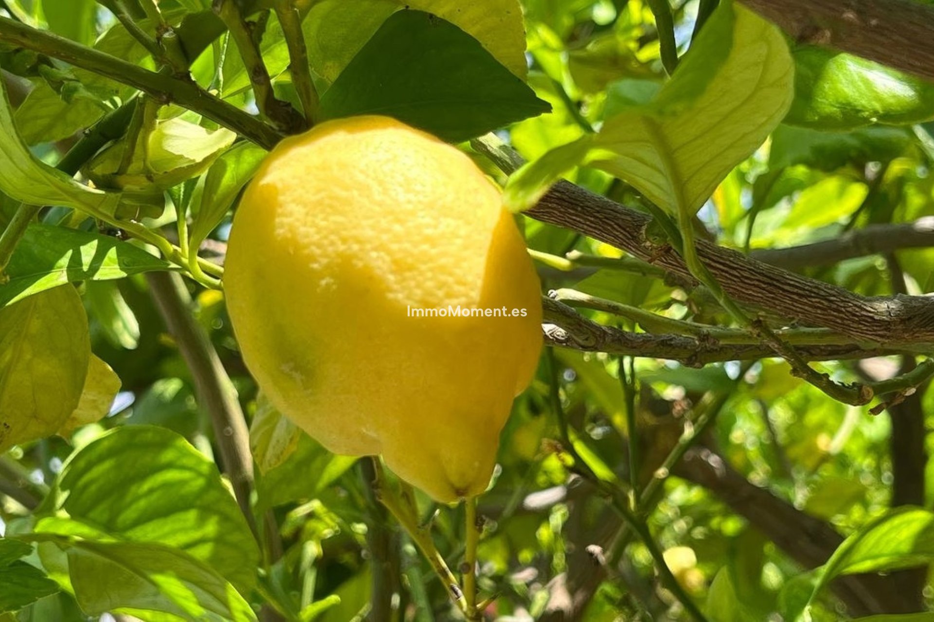 Bestaande woning - Geschakelde woning - Binnenland  - Alhaurín el Grande Centro