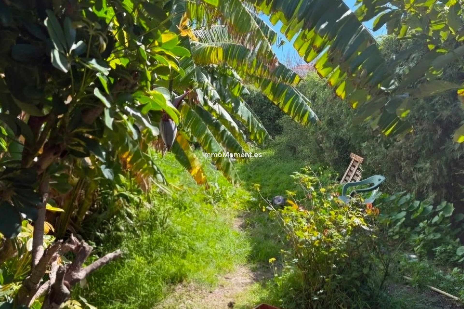 Bestaande woning - Geschakelde woning - Estepona  - Estepona Centro