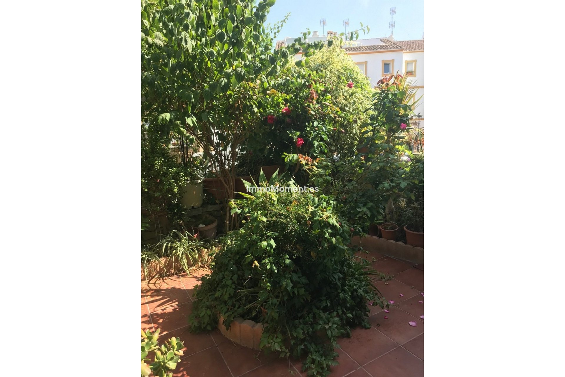 Bestaande woning - Geschakelde woning - Estepona  - Estepona Centro