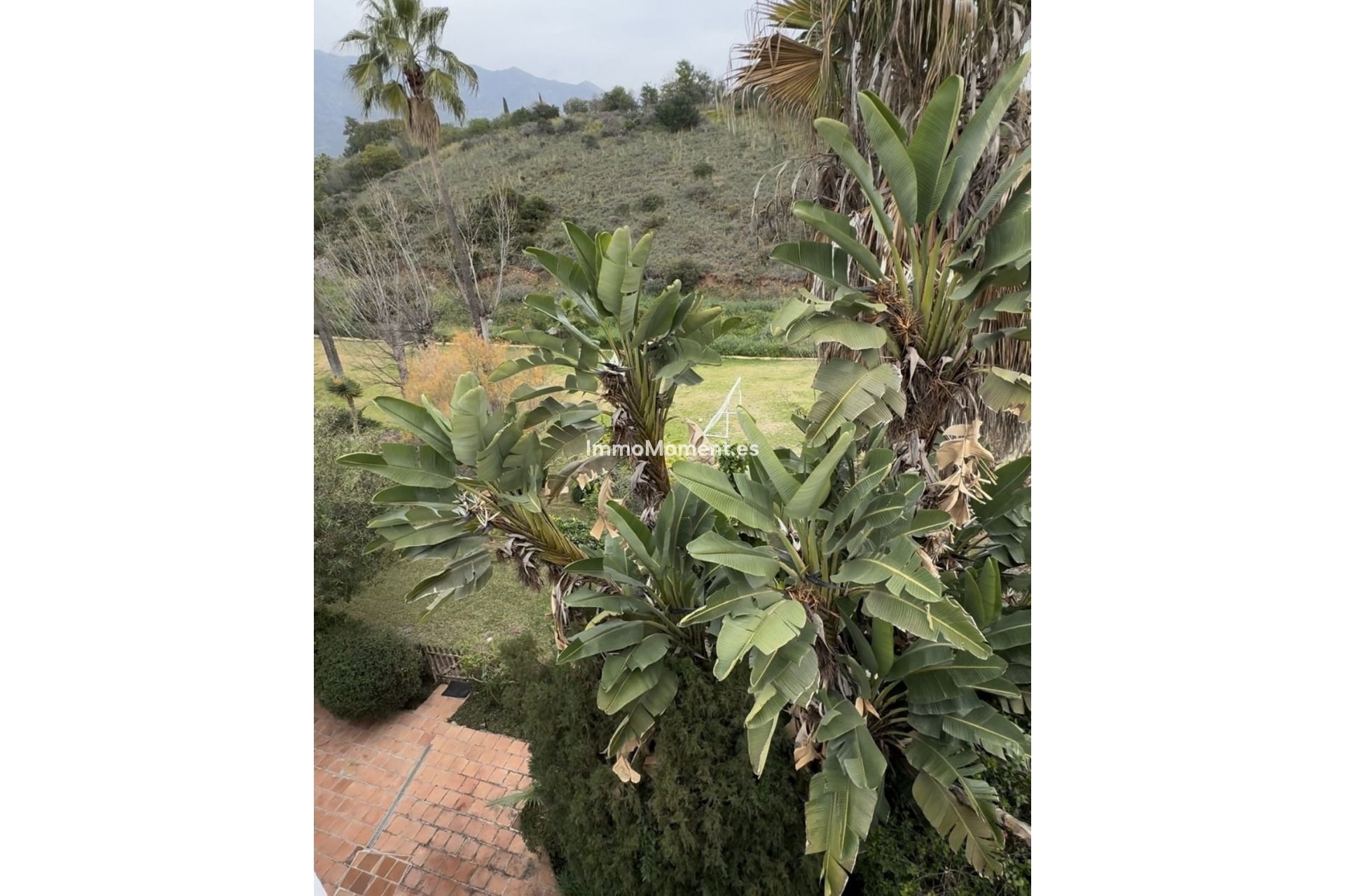 Bestaande woning - Geschakelde woning - Marbella - Marbella Centro