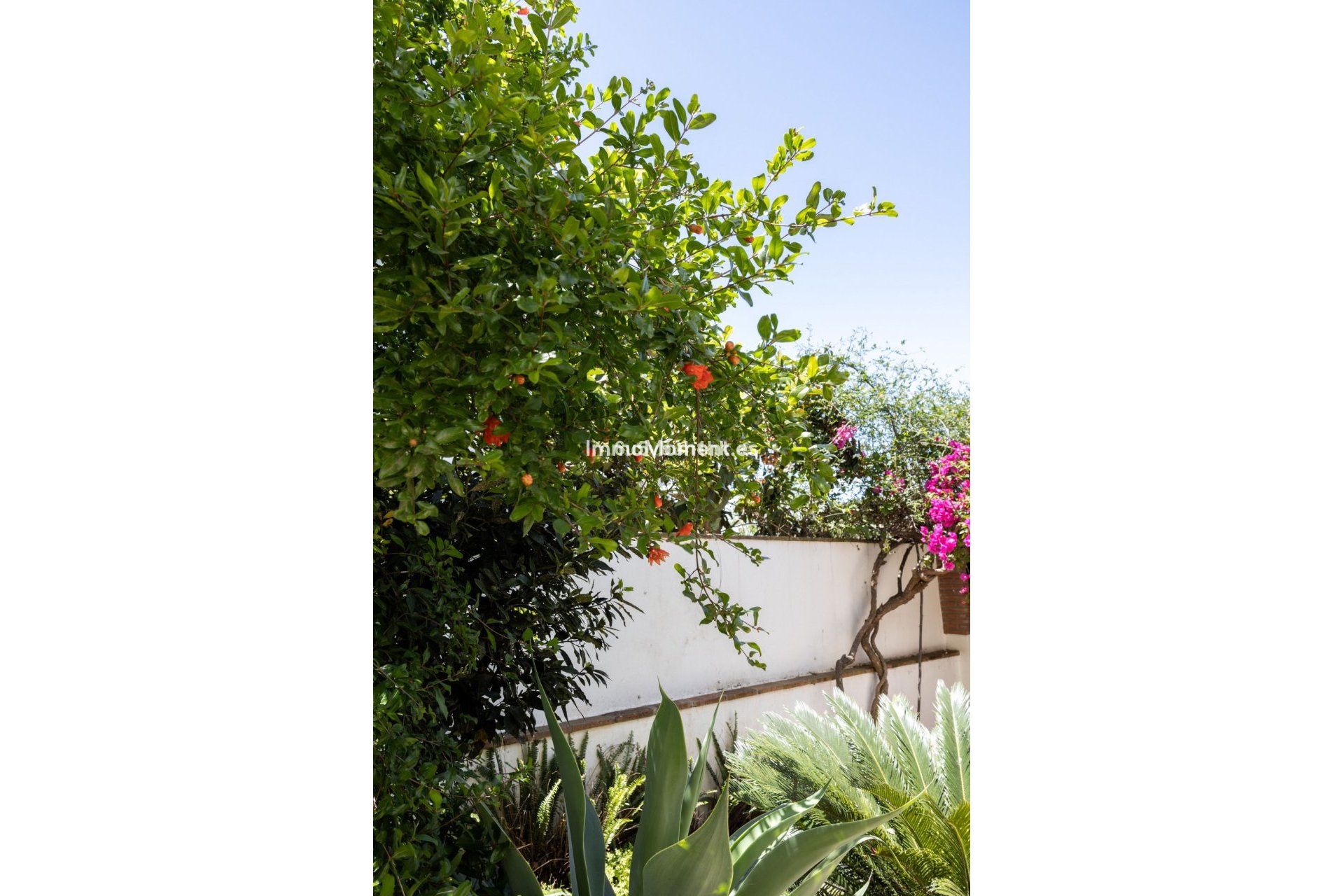 Bestaande woning - Geschakelde woning - Marbella - San Pedro de Alcántara