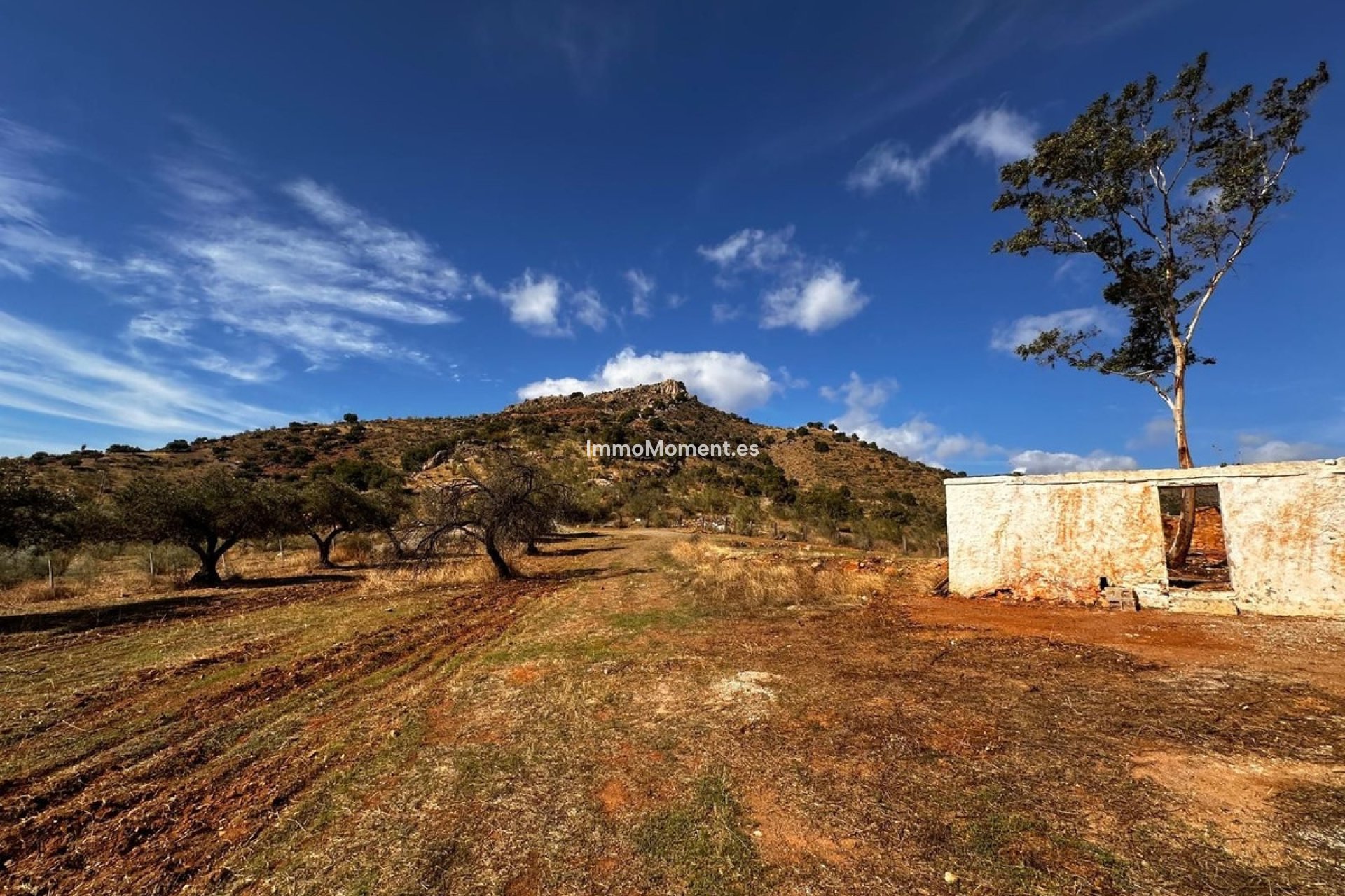 Bestaande woning - Grond - Binnenland  - Almogía