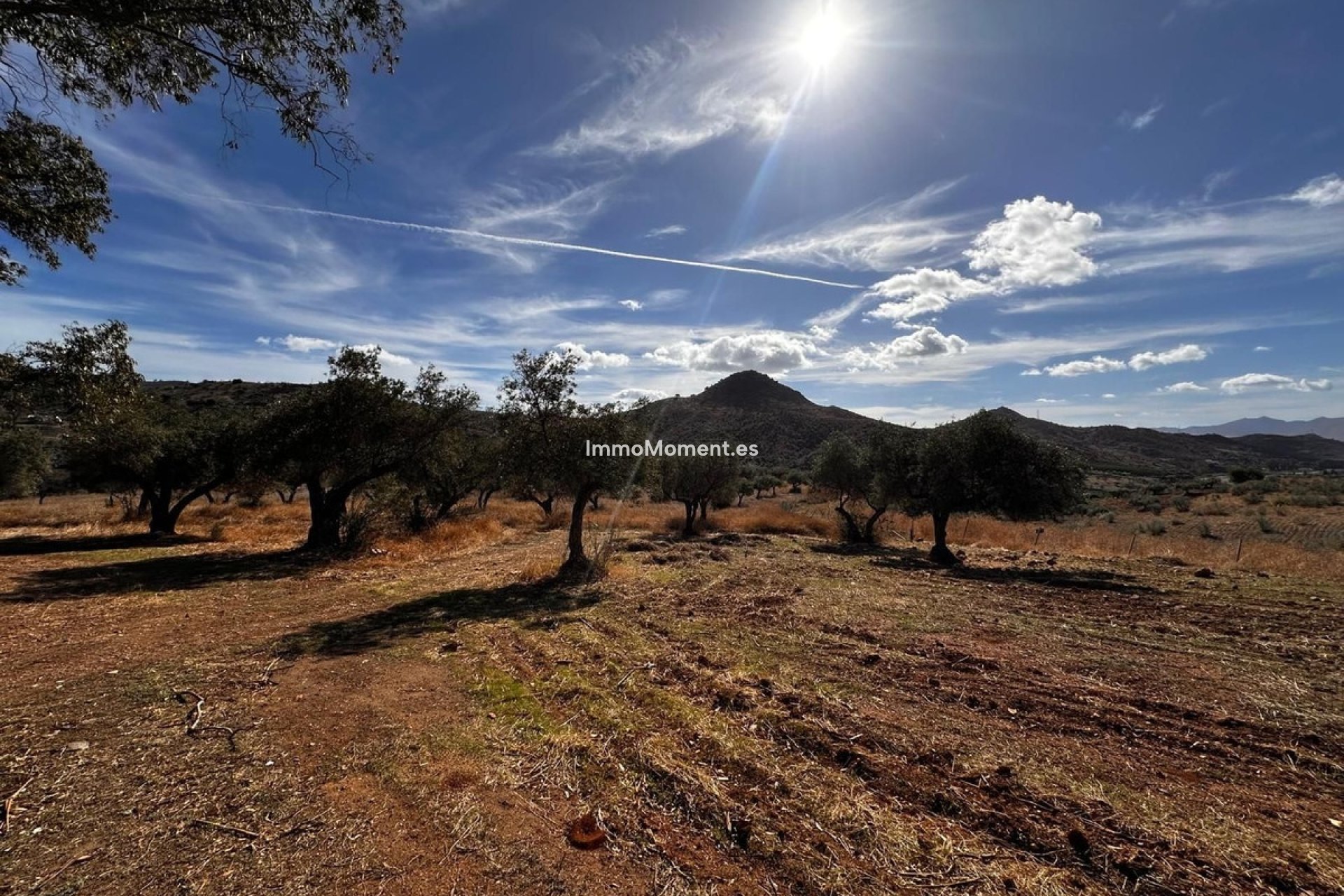 Bestaande woning - Grond - Binnenland  - Almogía