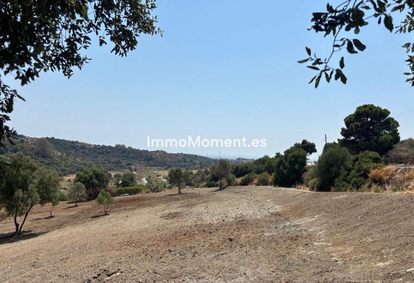 Bestaande woning - Grond - Estepona  - Estepona Centro