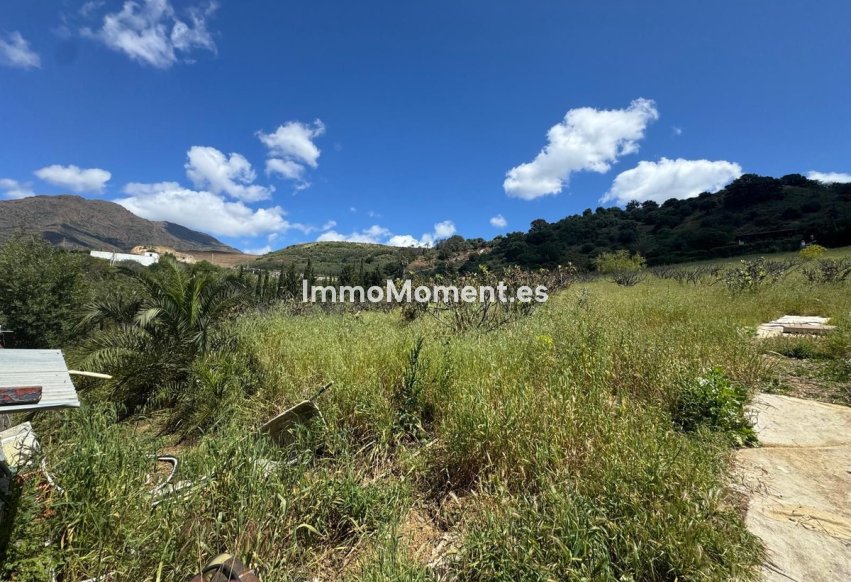 Bestaande woning - Grond - Estepona  - Estepona Centro