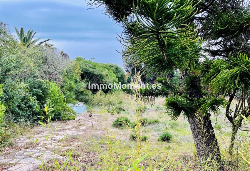 Bestaande woning - Grond - Estepona  - Estepona Centro