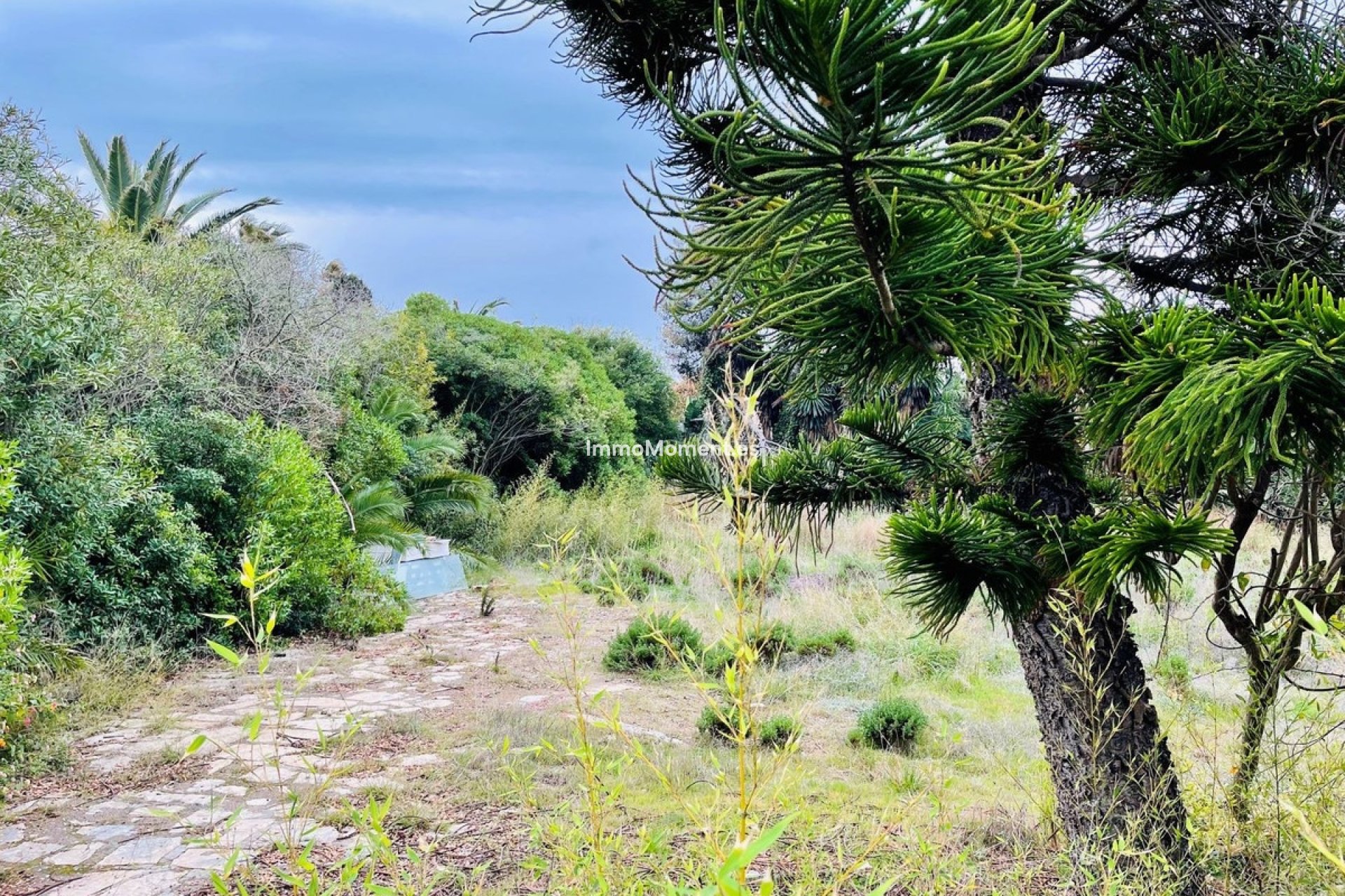 Bestaande woning - Grond - Estepona  - Estepona Centro