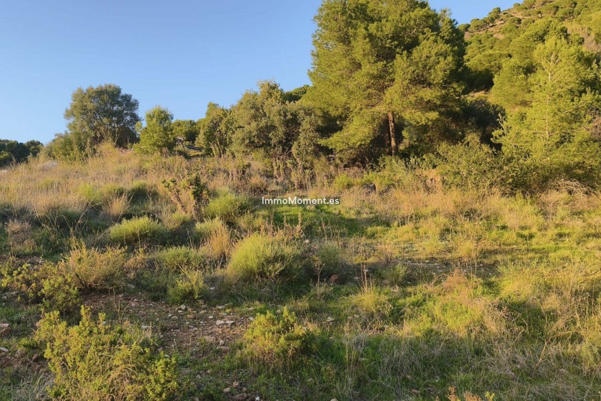 Bestaande woning - Grond - Mijas - Mijas Centro