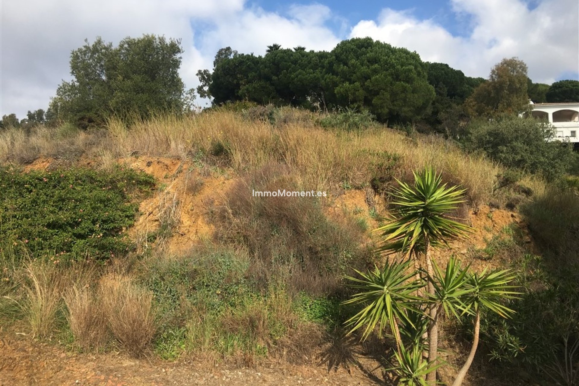 Bestaande woning - Grond - Mijas - Mijas Centro