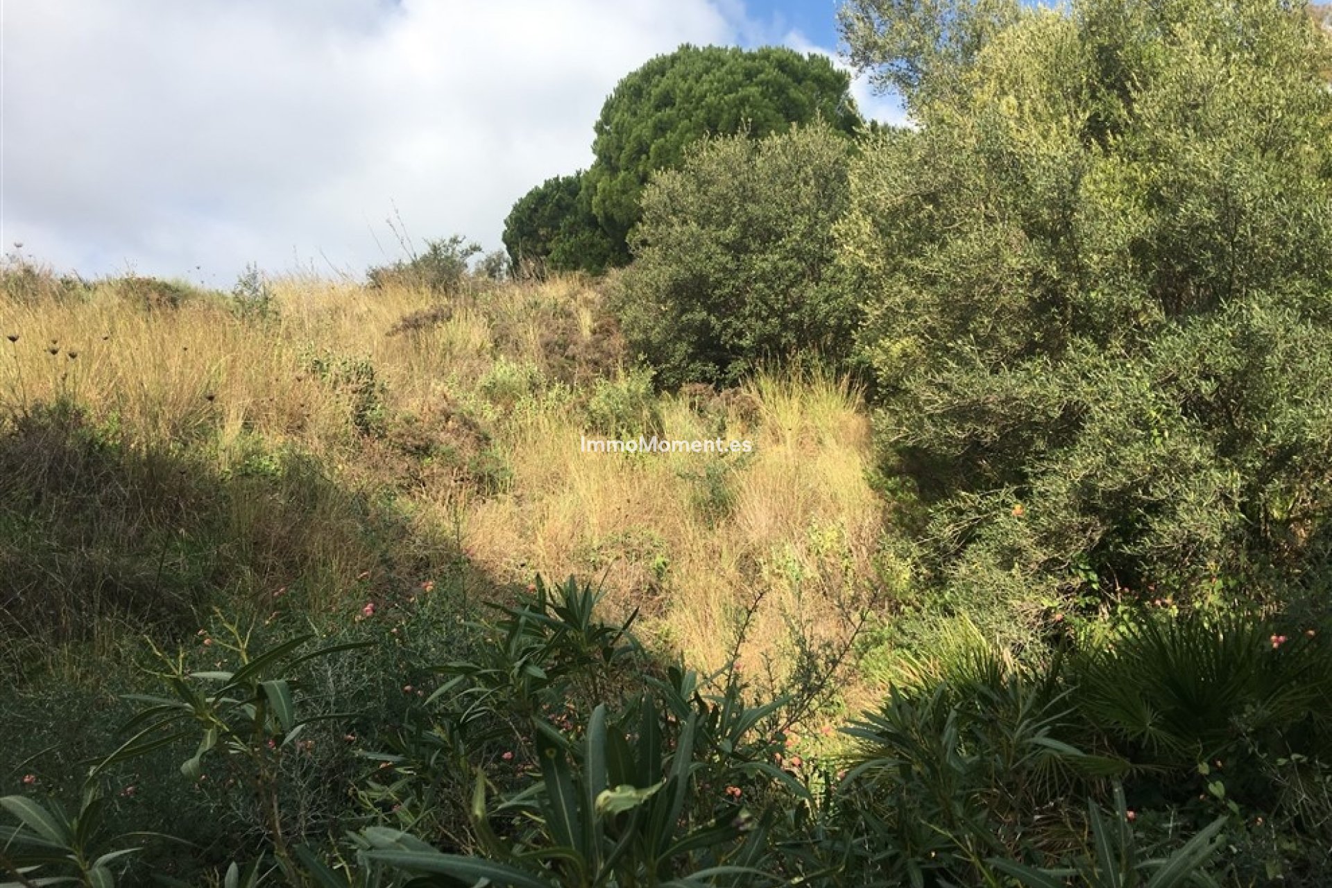 Bestaande woning - Grond - Mijas - Mijas Centro