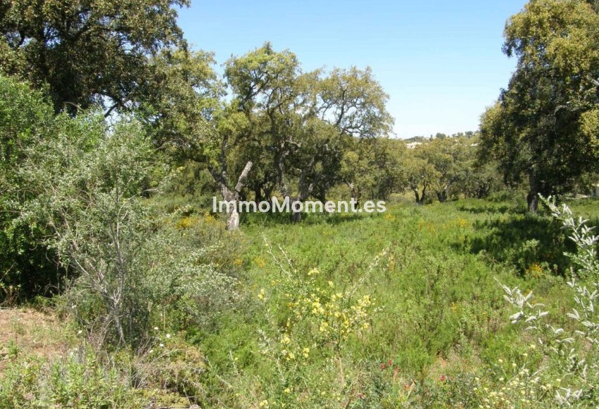 Bestaande woning - Grond - Sotogrande - San Roque Club