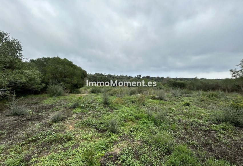 Bestaande woning - Grond - Sotogrande - Sotogrande Alto