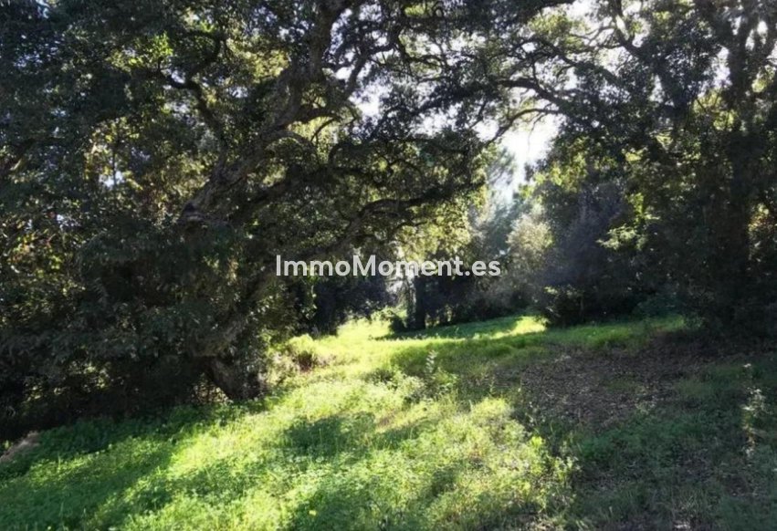 Bestaande woning - Grond - Sotogrande - Sotogrande Alto