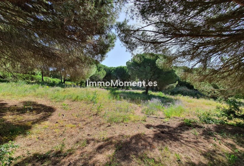 Bestaande woning - Grond - Sotogrande