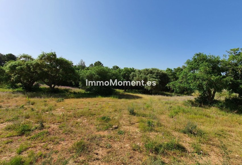 Bestaande woning - Grond - Sotogrande