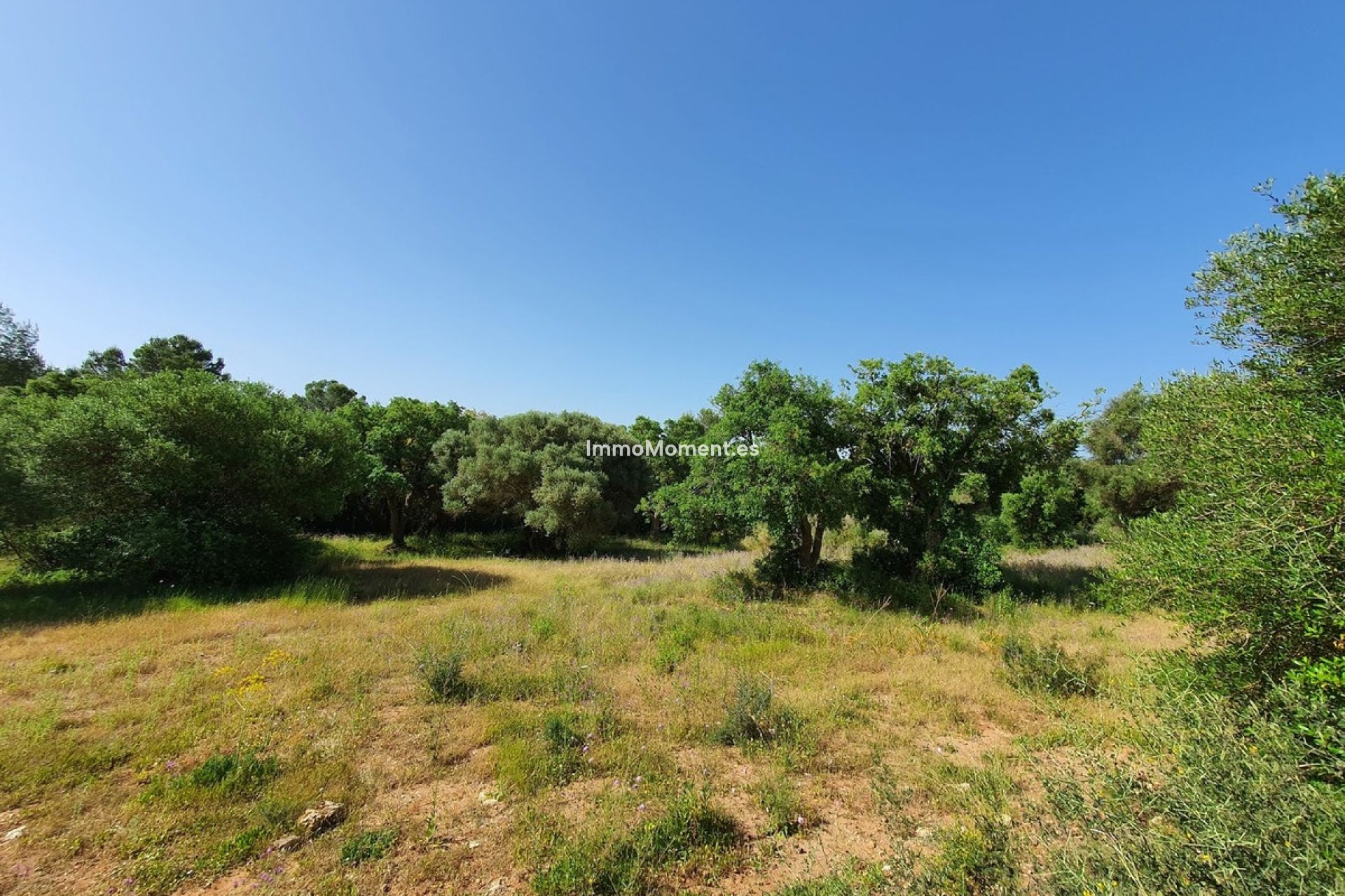 Bestaande woning - Grond - Sotogrande