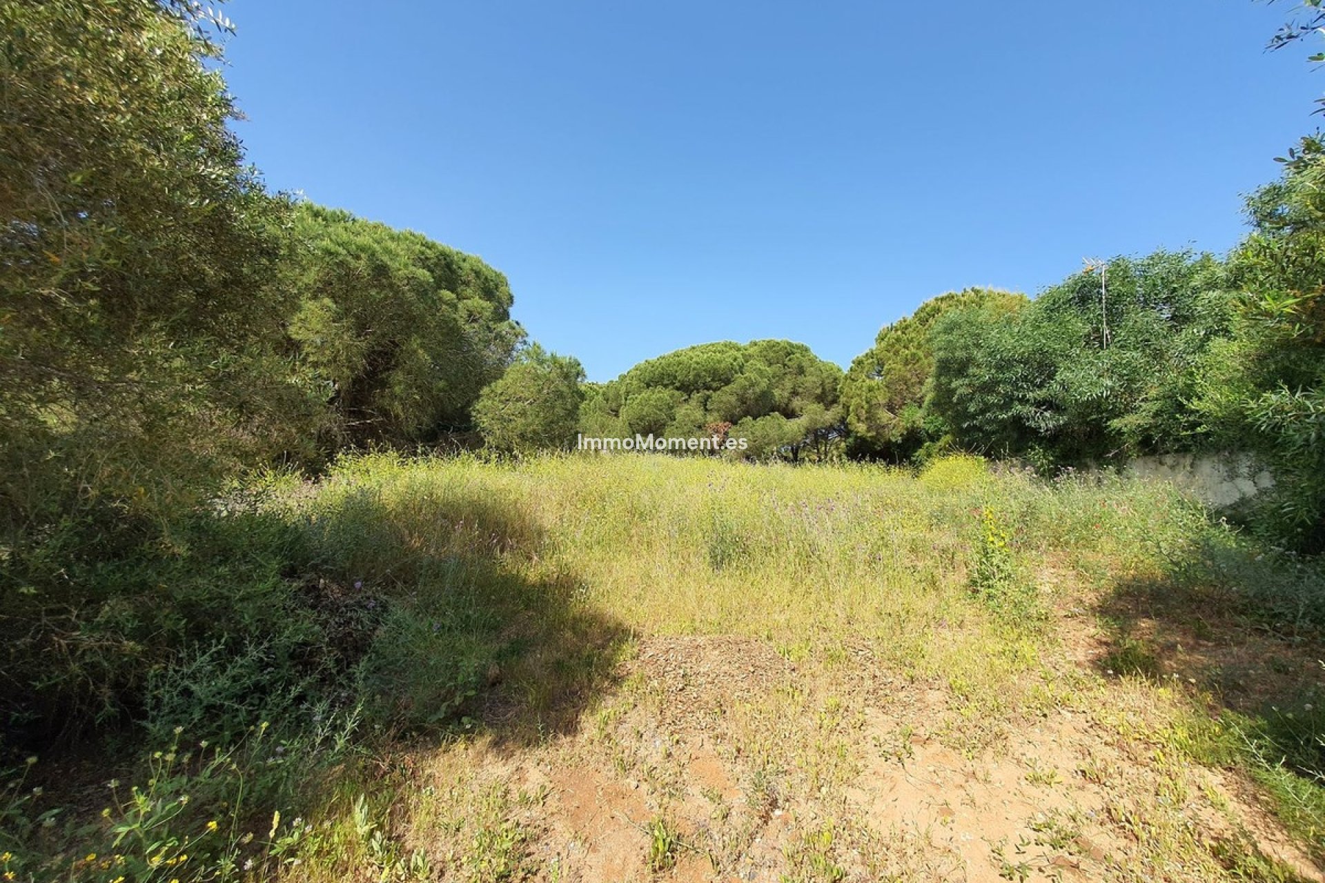 Bestaande woning - Grond - Sotogrande