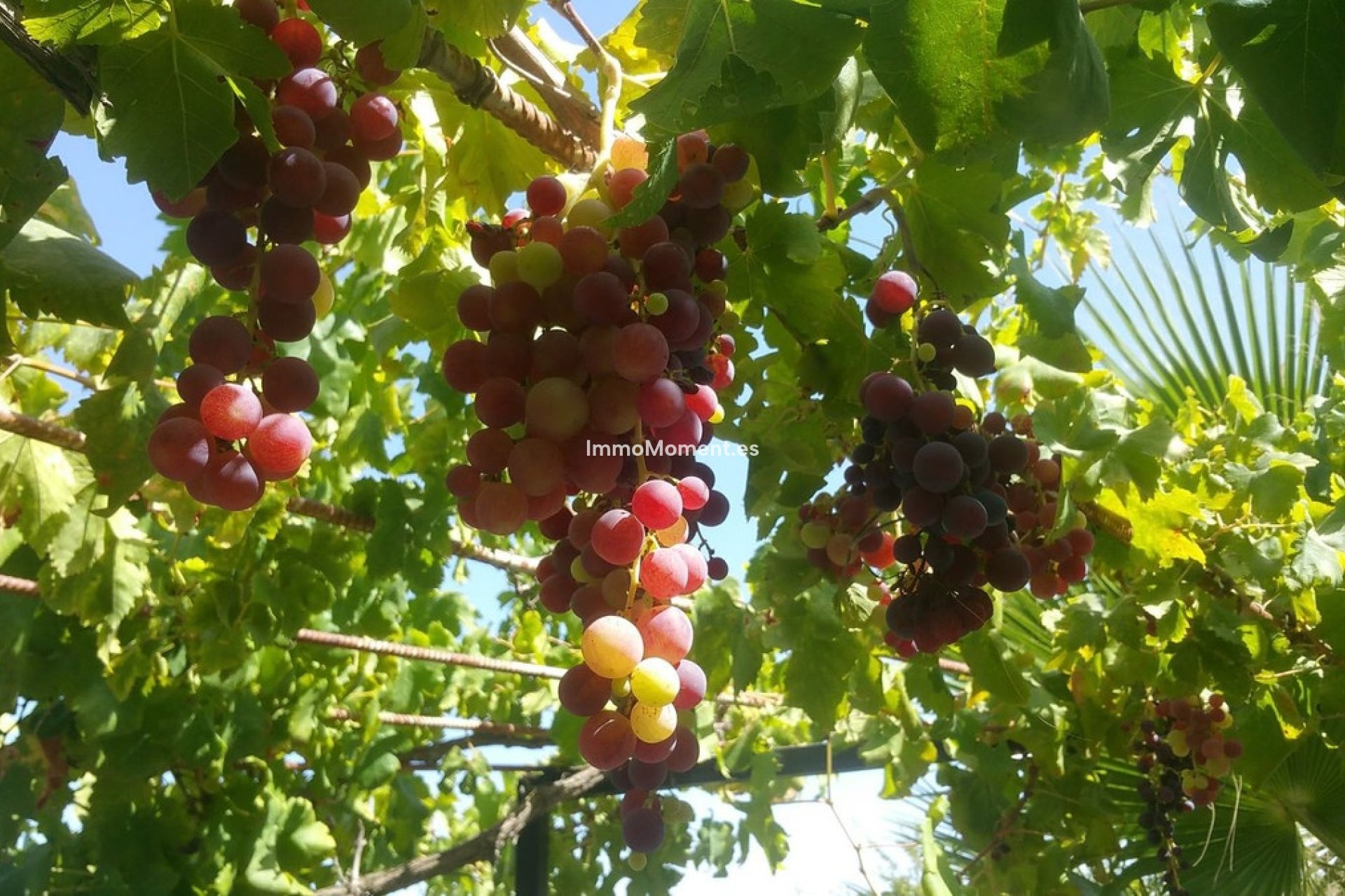 Bestaande woning - Landhuis - Binnenland  - Alhaurín de la Torre