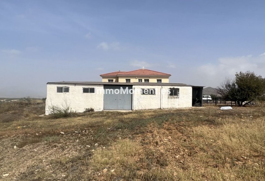 Bestaande woning - Landhuis - Binnenland  - Alhaurín de la Torre
