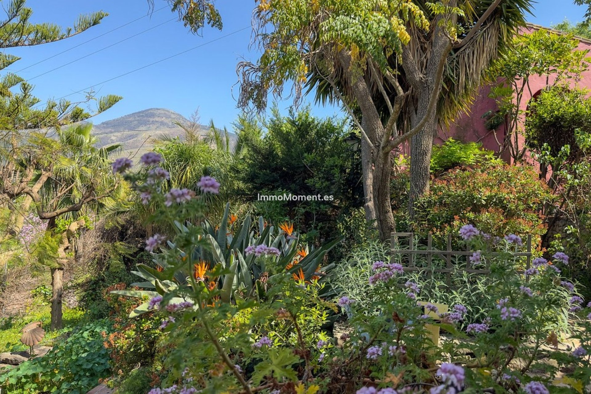 Bestaande woning - Landhuis - Binnenland  - Alhaurín el Grande Centro