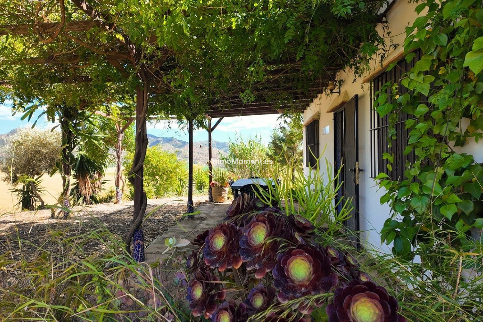 Bestaande woning - Landhuis - Binnenland  - Alora
