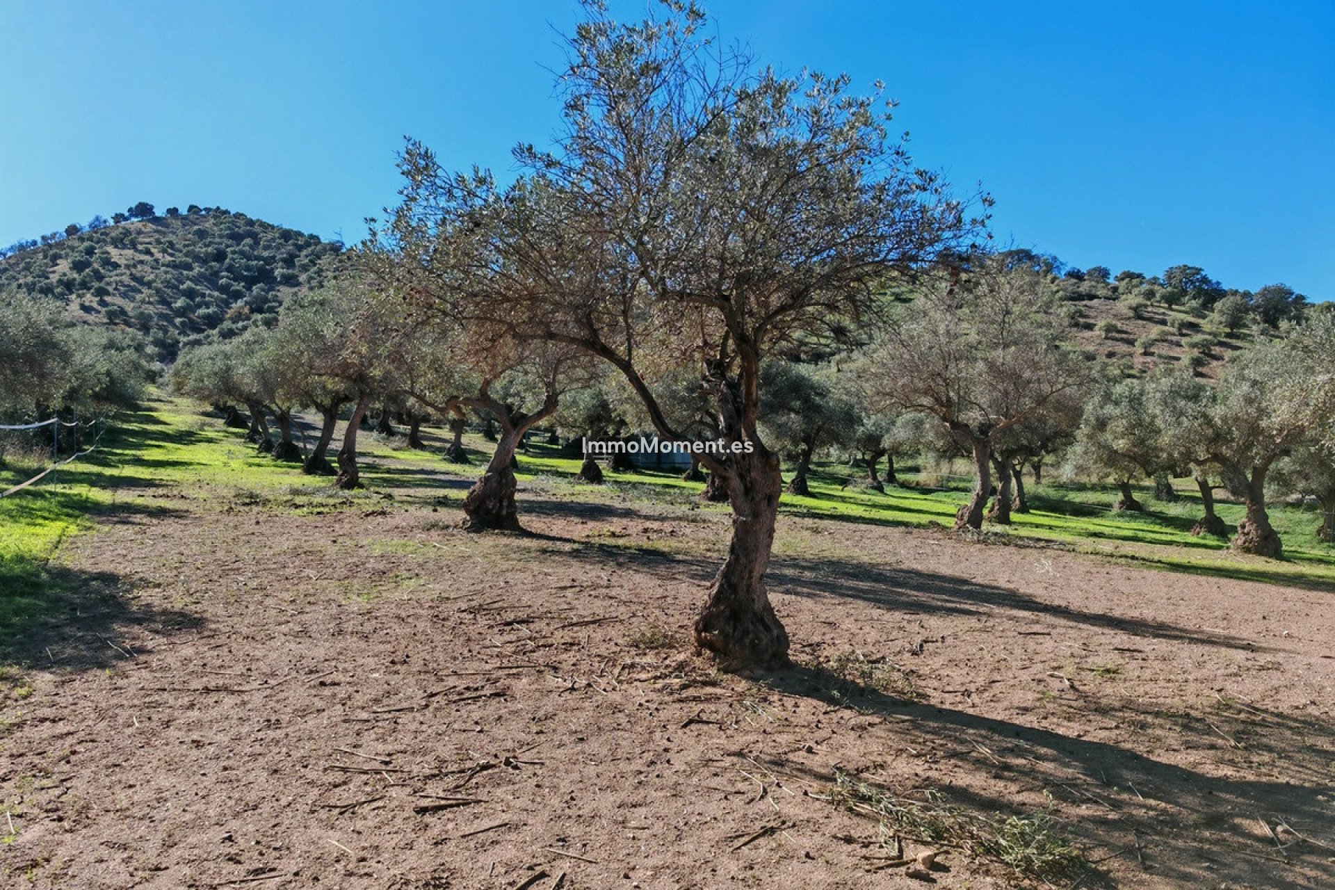 Bestaande woning - Landhuis - Binnenland  - Coín