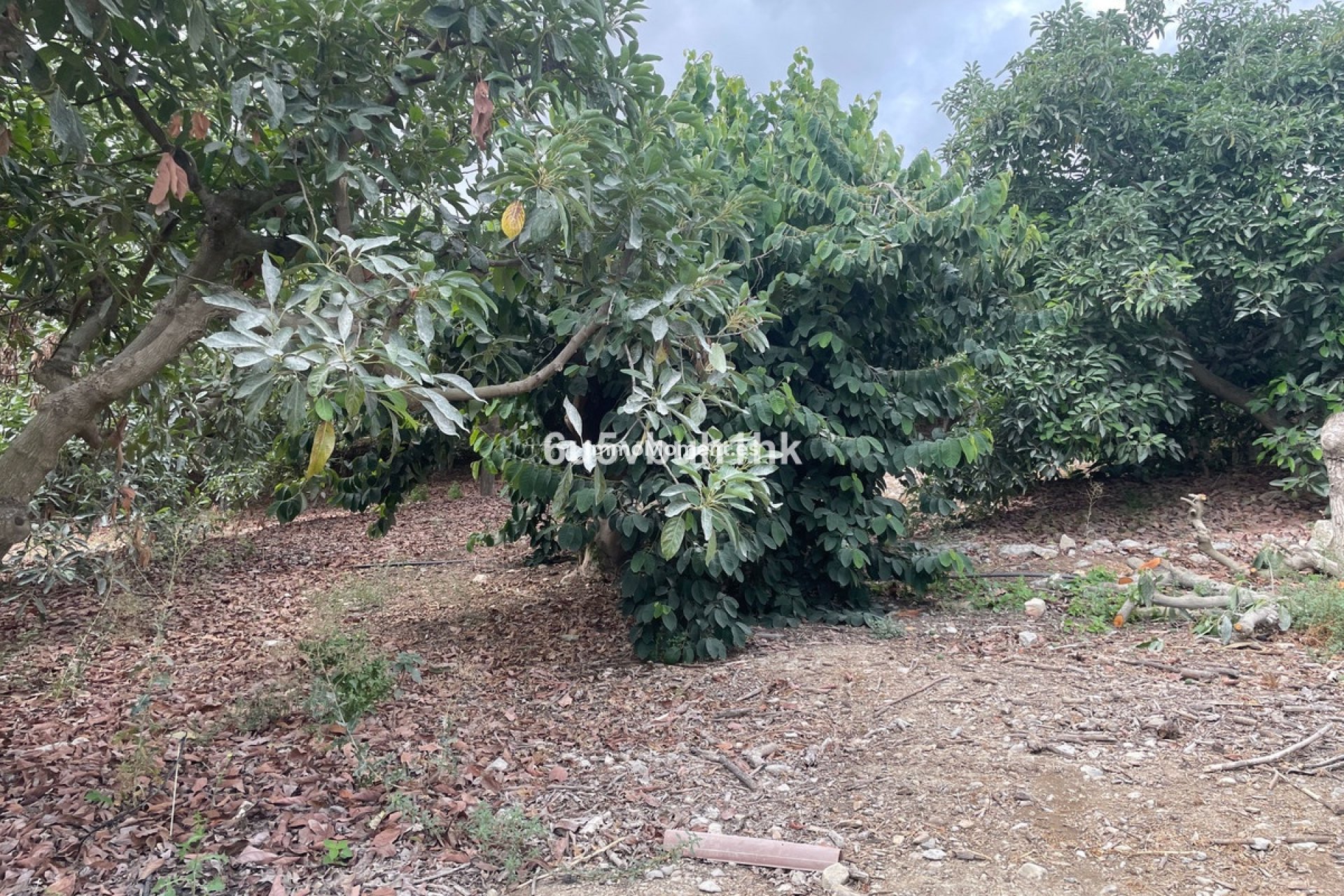 Bestaande woning - Landhuis - Binnenland  - Coín