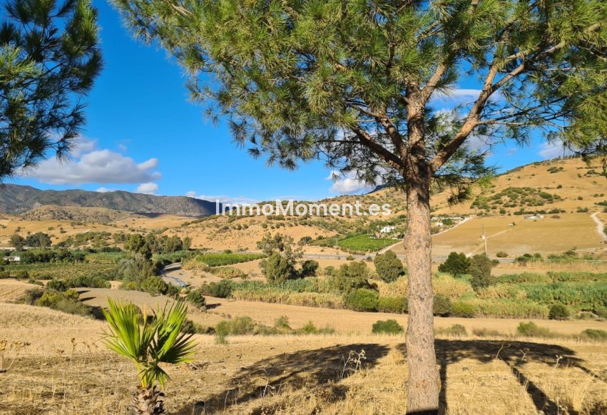 Bestaande woning - Landhuis - Binnenland  - Pizarra