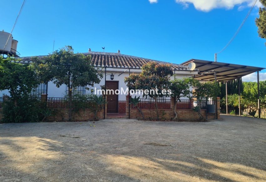 Bestaande woning - Landhuis - Binnenland  - Pizarra