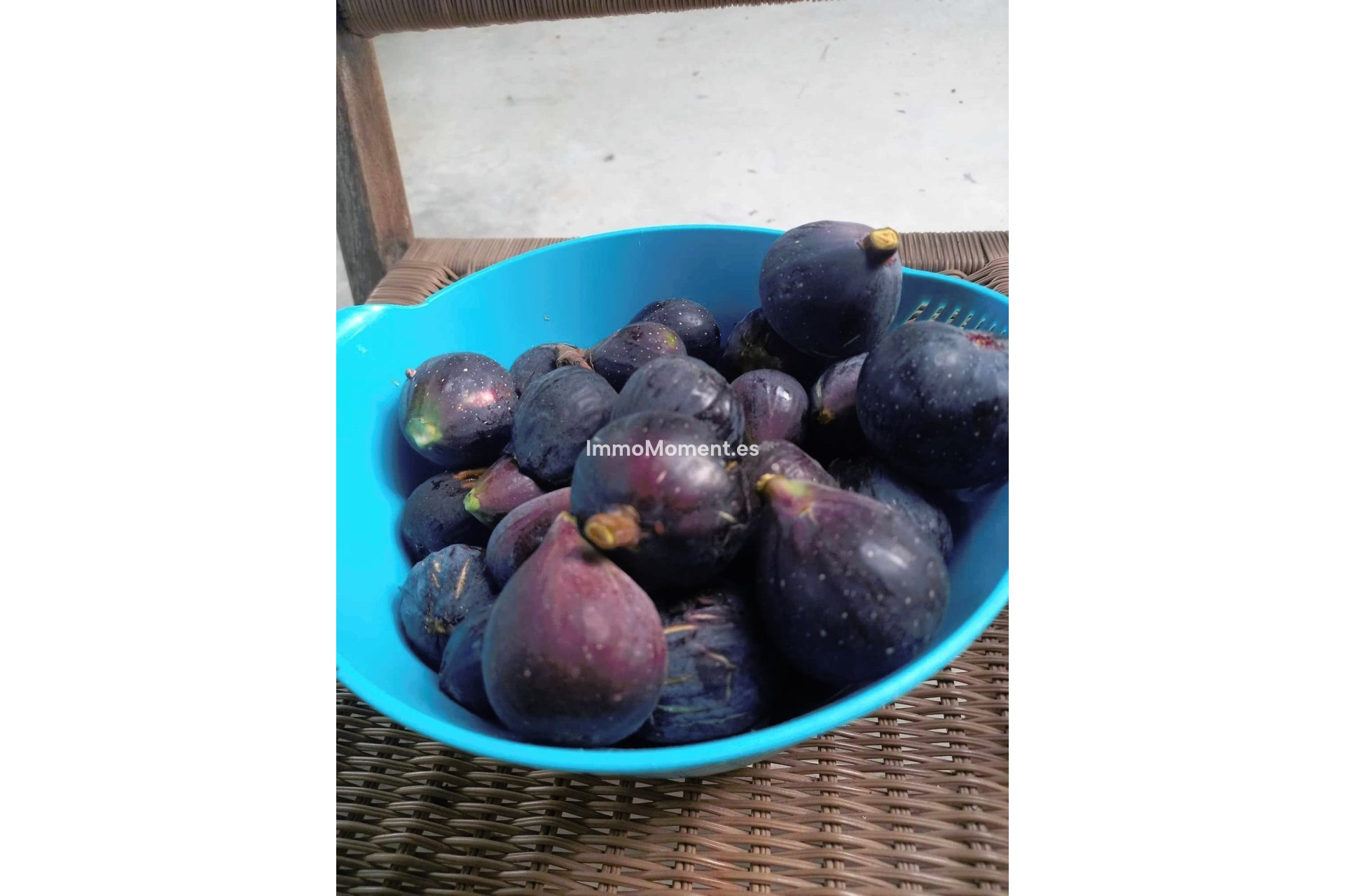 Bestaande woning - Landhuis - Dolores - Dolores Centro